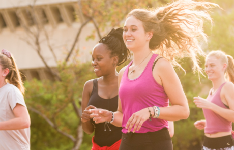 up higher certificate in sports sciences